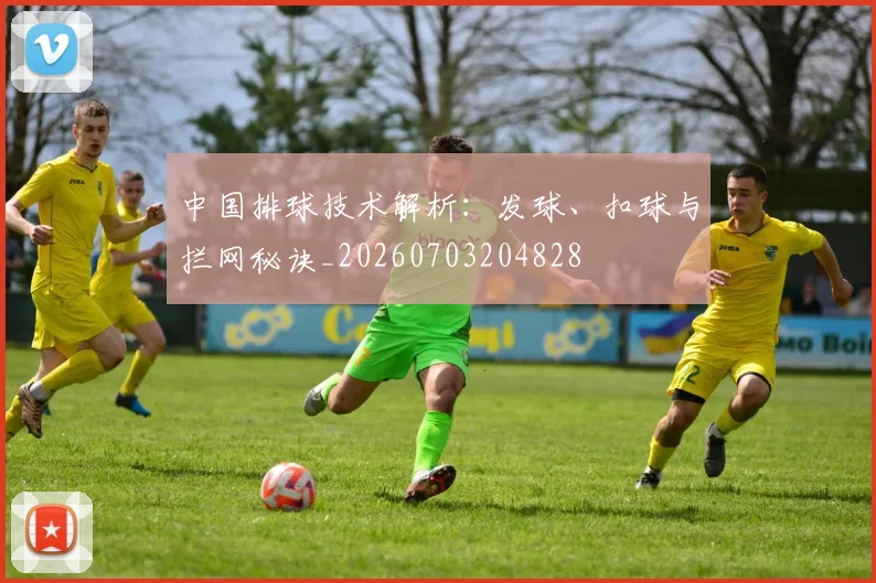 中国排球技术解析:发球、扣球与拦网秘诀_20260703204828