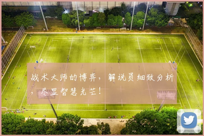 战术大师的博弈,解说员细致分析,尽显智慧光芒!